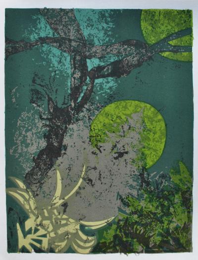 Luc SIMON : Magnifique Afrique, Ensemble de 6 Lithographies originales 2
