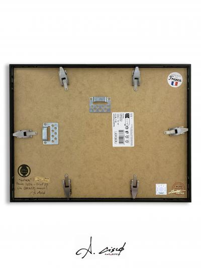 Cisco - Euphor, 2024 - Acrylique 2