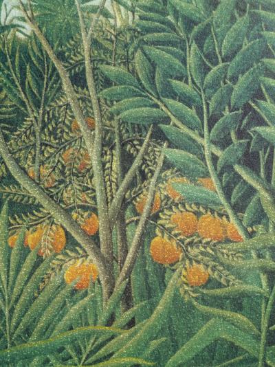 Henri ROUSSEAU (d’après)  : Tigre dévorant un buffle, Lithographie signée et numérotée, 1976 2