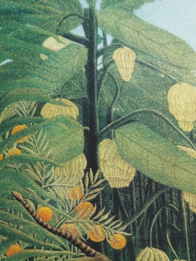 Henri ROUSSEAU (d’après)  : Tigre dévorant un buffle, Lithographie signée et numérotée, 1976 2