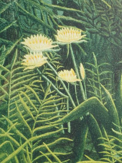 Henri ROUSSEAU (d’après) : Paysage de forêt vierge, Lithographie signée et numérotée, 1976 2