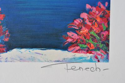 Serge FENECH : Passage fleuri à Santorin, Lithographie originale signée 2