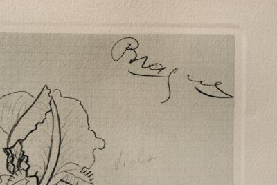 Georges BRAQUE : Les Iris, Héliogravure, 1950 2