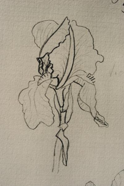 Georges BRAQUE : Les Iris, Héliogravure, 1950 2