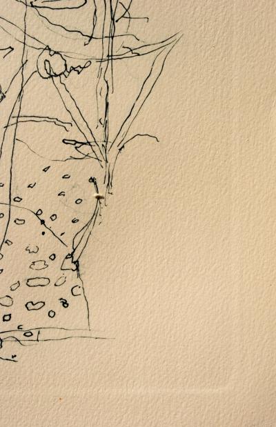 Georges BRAQUE : Le jardin d'hiver, Héliogravure, 1950 2