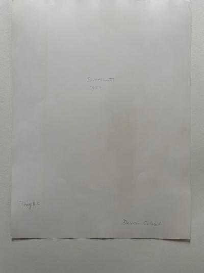 Denise Colomb - Alberto Giacometti 1954 - Tirage argentique 2