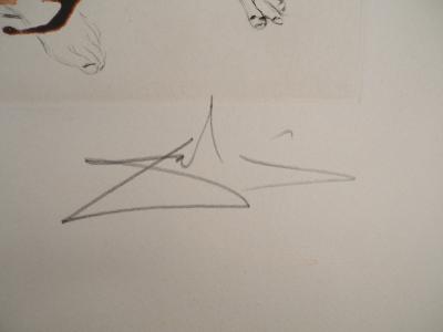 Salvador DALI : La Mythologie, Thésée et le Minotaure - Gravure originale signée 2