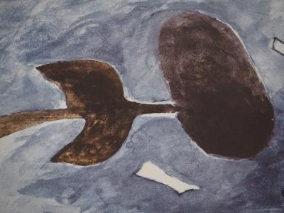 Georges BRAQUE : A tire d'aile, Phototypie 2