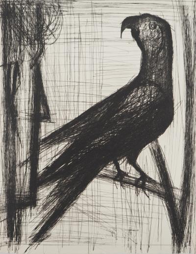 Bernard BUFFET: The parrot, Original engraving 2