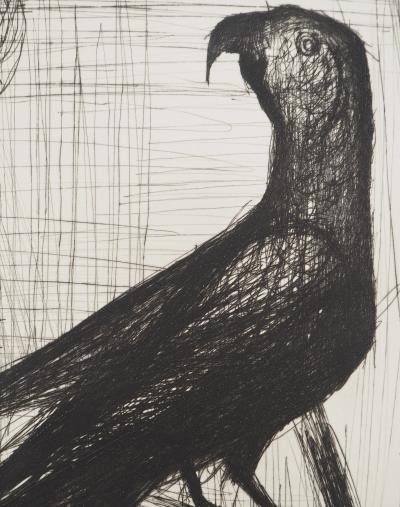 Bernard BUFFET: The parrot, Original engraving 2