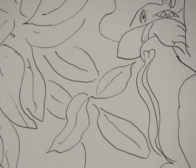 Henri MATISSE : Portrait à la plante, Lithographie signée 2