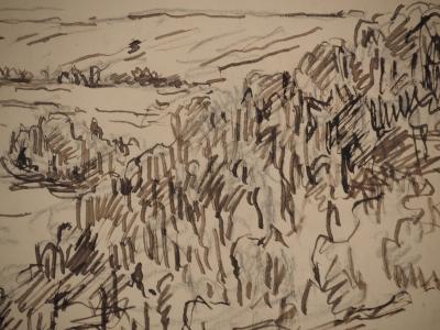 Maximilien LUCE : Champs en friche, Dessin original signé 2