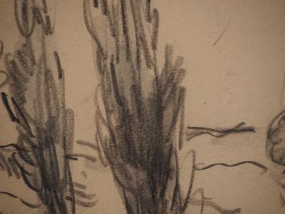 Maximilien LUCE: The two cypresses, Original signed drawing 2