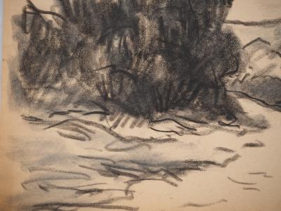 Maximilien LUCE : Paysage bucolique, Dessin original signé 2