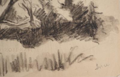 Maximilien LUCE : Etude d'arbre, Dessin original signé 2
