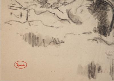 Maximilien LUCE : Etude d'arbre, Dessin original signé 2