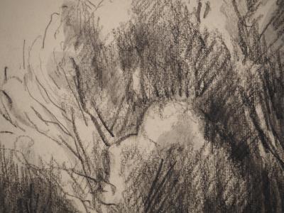 Maximilien LUCE : Petite maison dans la prairie, Dessin original signé 2