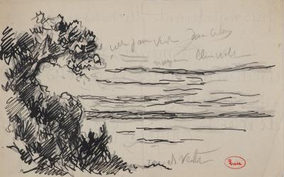 Maximilien LUCE : Végétation en bord de mer, Dessin original signé 2