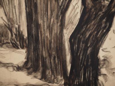 Maximilien LUCE : Entrée du sous bois, Dessin original signé 2