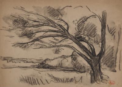 Maximilien LUCE : Vieux saule au bord du lac, Dessin original signé 2