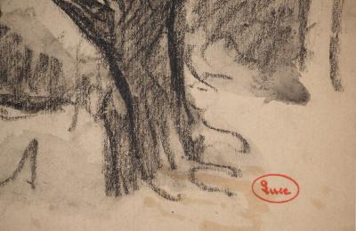 Maximilien LUCE : Vieux saule au bord du lac, Dessin original signé 2