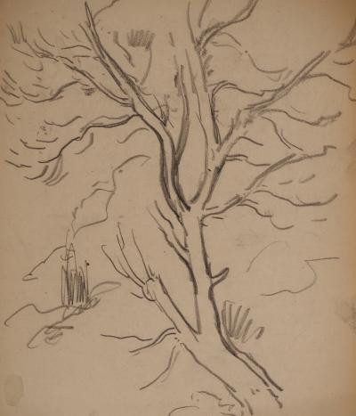 Maximilien LUCE : Branche d'arbre, Dessin original signé 2