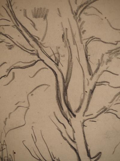 Maximilien LUCE : Branche d'arbre, Dessin original signé 2