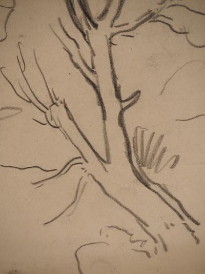 Maximilien LUCE : Branche d'arbre, Dessin original signé 2