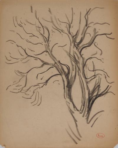 Maximilien LUCE : Etude de branches, Dessin original signé 2