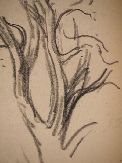 Maximilien LUCE : Etude de branches, Dessin original signé 2
