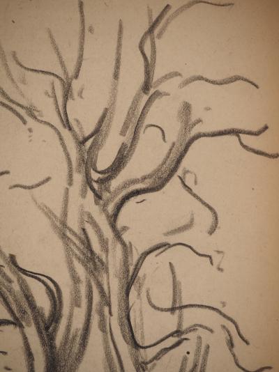 Maximilien LUCE : Etude de branches, Dessin original signé 2
