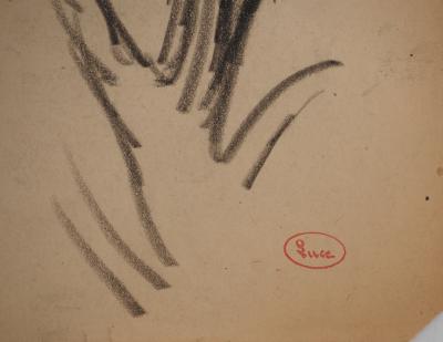 Maximilien LUCE : Etude de branches, Dessin original signé 2