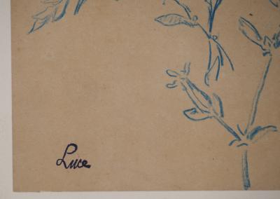 Maximilien LUCE : Etude de fleurs des champs, Dessin original signé 2