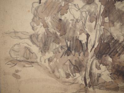 Maximilien LUCE : Le vieux pommier, Dessin original signé 2