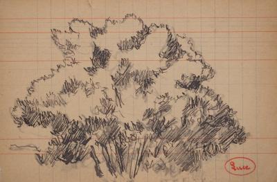 Maximilien LUCE : Le bosquet, Dessin original signé 2