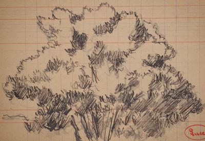 Maximilien LUCE : Le bosquet, Dessin original signé 2
