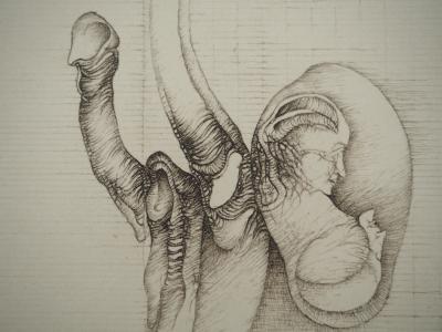 Fred DEUX : Gestation, Gravure originale signée 2