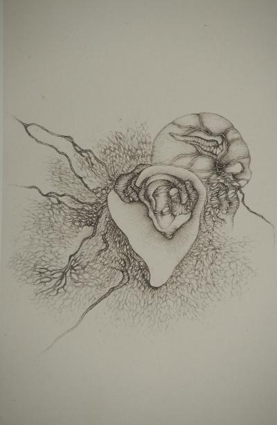 Fred DEUX : Anatomie abstraite, Gravure originale signée 2