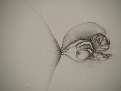 Fred DEUX : Anatomie d’un bourgeon, Gravure originale signée 2