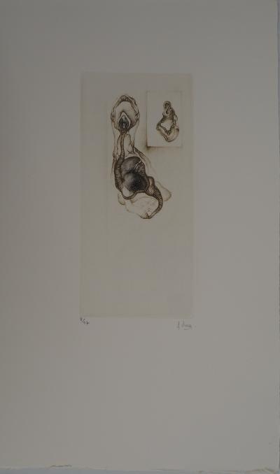 Fred DEUX : Double abstraction naturelle, Gravure originale signée 2