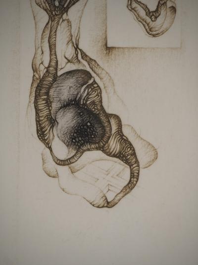 Fred DEUX : Double abstraction naturelle, Gravure originale signée 2