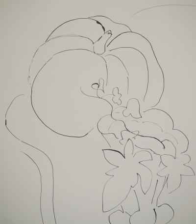 Henri MATISSE : Etude de citrouille, Lithographie signée 2