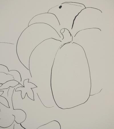 Henri MATISSE : Citrouilles et pot de fleurs, Lithographie signée 2