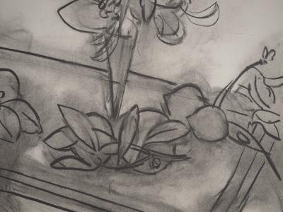 Henri MATISSE : Table aux citrons, Lithographie signée 2