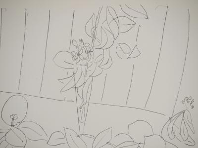 Henri MATISSE : Le retour du marché, Lithographie signée 2