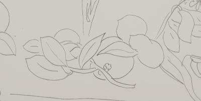 Henri MATISSE : Représentation florale, Lithographie signée 2