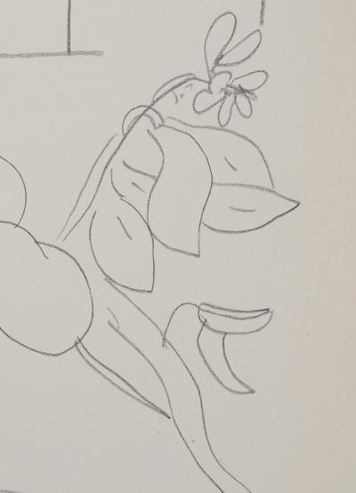 Henri MATISSE : Représentation florale, Lithographie signée 2
