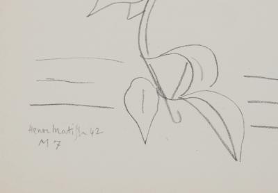 Henri MATISSE : Représentation florale, Lithographie signée 2