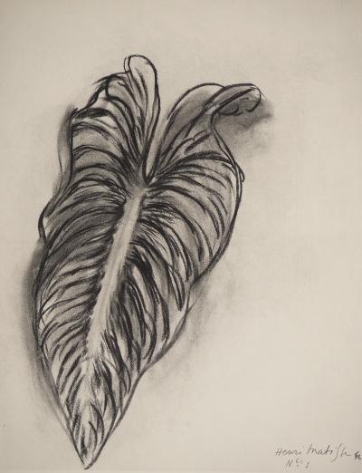 Henri MATISSE: Study of a leaf, Signed lithograph 2