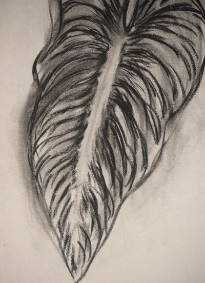 Henri MATISSE: Study of a leaf, Signed lithograph 2